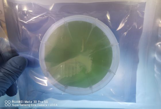 350um Kalınlığı 4h-N 4H-SEMI SIC Epitaxial için Silikon Karbür Wafer