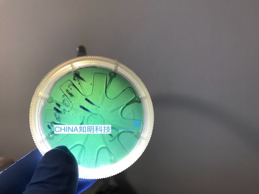 İyi fiyat 2 INÇ 6H-N Silisyum Karbür Gofret Tipi MPD 50 cm 330um SiC Kristal Gofretler Külçeler çevrimiçi