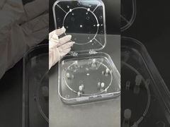 Ayarlanabilir Yonga Kutusu – Yarı İletken Koruması için Şeffaf PC Yonga Taşıyıcı